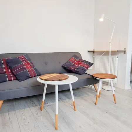 Lion - Elegance Daire Krakow