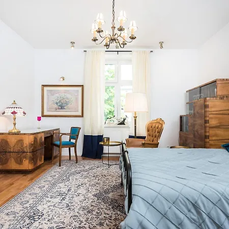 Lion - Elegance Krasków