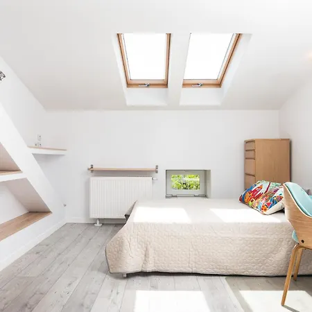 Lion - Elegance Apartament