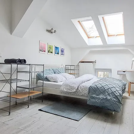 Lion - Elegance Kraków