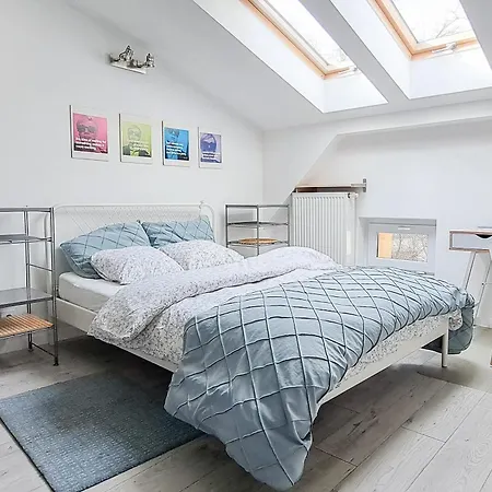 Lion - Elegance Apartament *