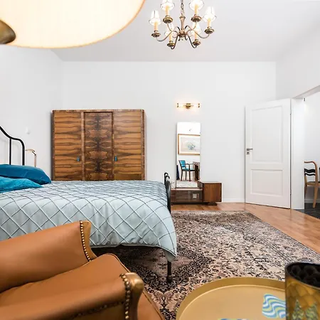 Lion - Elegance * Kraków