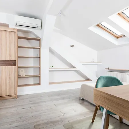 Lion - Elegance * クラクフ