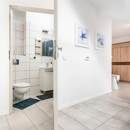 Lion - Elegance * クラクフ